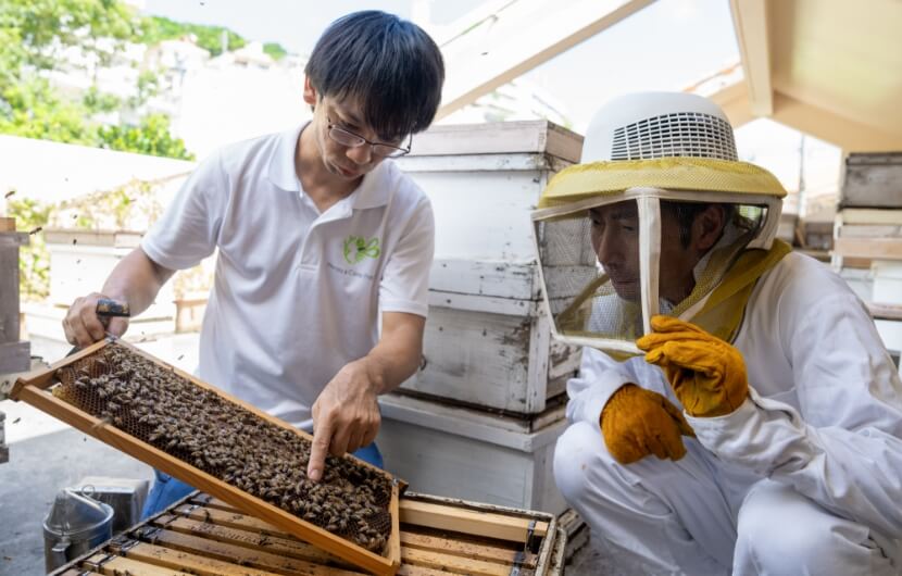 家族、仲間、地域の幸せを願って